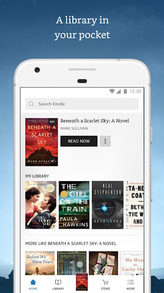 kindle previewer app no access