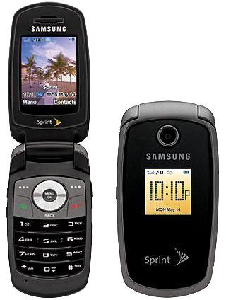 Samsung SPH-M300